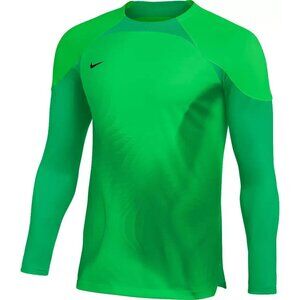 Nike Dri-Fit Gardien IV Goalkeeper Soccer Jersey Mens Size Medium Green Slim Fit
